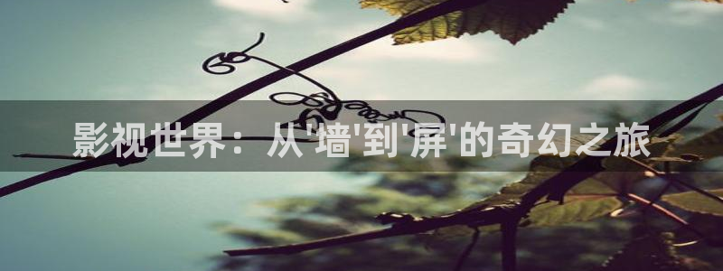 飘雪影院电影免费观看