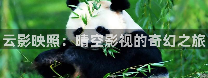 飘雪影院在线观看高清